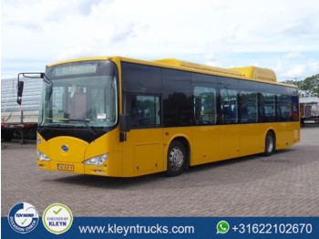 Miesto autobusas BYD EBUS 12 GREENCITY full electric: foto 1