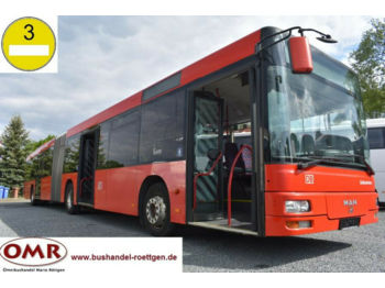 Miesto autobusas MAN A23/Lion's City / 530 G / Citaro / Klima: foto 1
