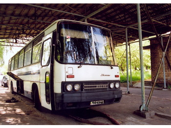 IKARUS 250.59 - Turistinis autobusas