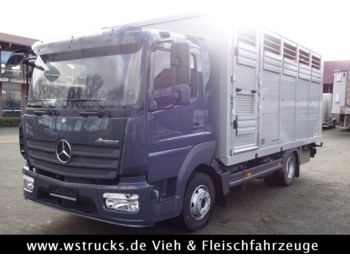 Furgonas su krovinių dėže pervežimui gyvūnų Mercedes-Benz 821L" Neu" WST Edition" Menke Einstock Vollalu: foto 1