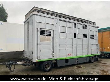 KABA 3 Stock  Hubdach Vollalu 7,30m  - Gyvulių pervežimo priekaba