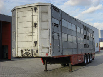 Pezzaioli SBA63U / 3 Achsen / BPW-Achsen / 3 Stock  - Gyvulių pervežimo puspriekabė