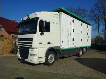 Gyvulių pervežimo sunkvežimis DAF XF 105/460 SSC Menke 3 Stock Hubdach: foto 1