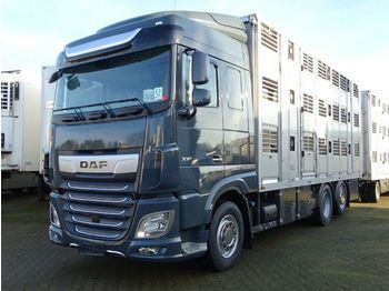 Nauja Gyvulių pervežimo sunkvežimis DAF XF 480 "Neu" SC mit Menke 3 Stock: foto 1
