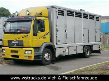 Gyvulių pervežimo sunkvežimis MAN 15.220 Menke Einstock: foto 1