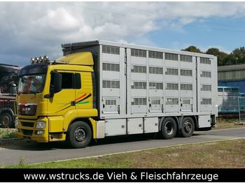 Gyvulių pervežimo sunkvežimis MAN 26.440 LX Menke 4 Stock Ladelift Hubdach: foto 1