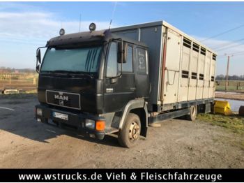 Gyvulių pervežimo sunkvežimis pervežimui gyvūnų MAN 8.224 mit Enstock Alu: foto 1