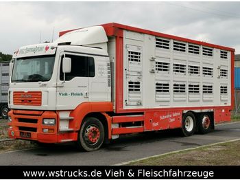 Gyvulių pervežimo sunkvežimis MAN TGA 26.350 Finkl Aufbau: foto 1