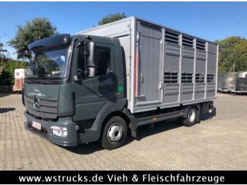 Gyvulių pervežimo sunkvežimis pervežimui gyvūnų Mercedes-Benz 821L" Neu" gebr. Finkl Einstock Vollalu: foto 1