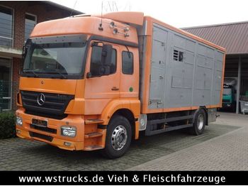 Gyvulių pervežimo sunkvežimis Mercedes-Benz  Axor 1833 2 Stock Michieletto: foto 1
