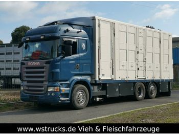 Gyvulių pervežimo sunkvežimis Scania  R 560 V8 Highline Menke 3 Stock Vollalu: foto 1
